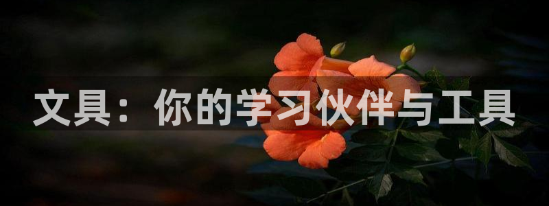 南阳卧龙岗景区娱乐项目：文具：你的学习伙