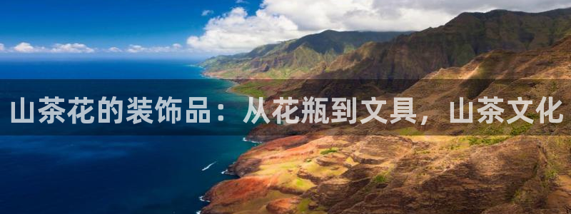 卧龙娱乐招商代理怎么样：山茶花的装饰品：