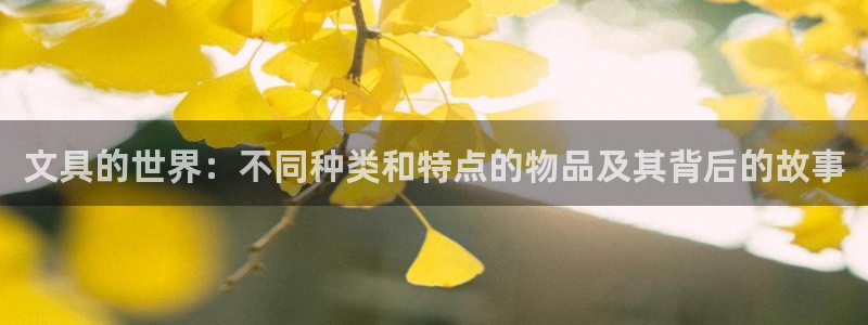 卧龙新款娱乐设备：文具的世界：不同种类和