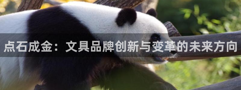 卧龙娱乐左7O667：点石成金：文具品牌