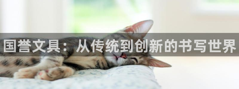 卧龙娱乐怎样：国誉文具：从传统到创新的书