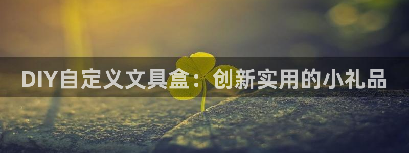 卧龙休闲娱乐优惠：DIY自定义文具盒：创