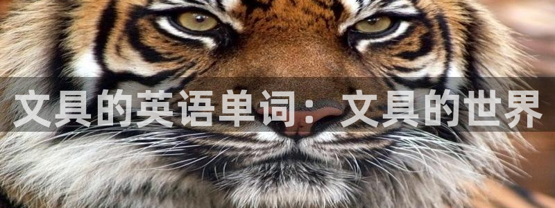 卧龙哥休闲娱乐：文具的英语单词：文具的世