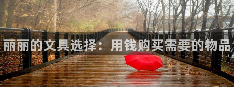 at娱乐 0 47卧龙：丽丽的文具选择：