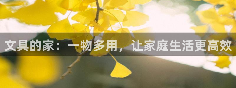 卧龙娱乐招商代理电话：文具的家：一物多用