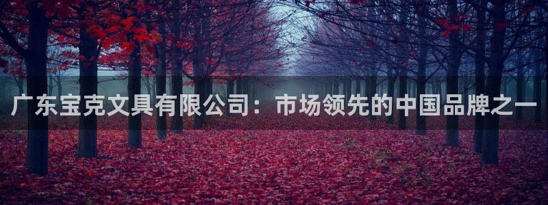 南阳卧龙区娱乐：广东宝克文具有限公司：市