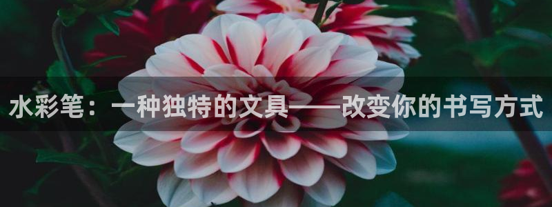 卧龙居餐饮娱乐：水彩笔：一种独特的文具—