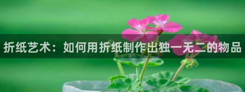 hr娱乐 扣卧龙60447：折纸艺术：如