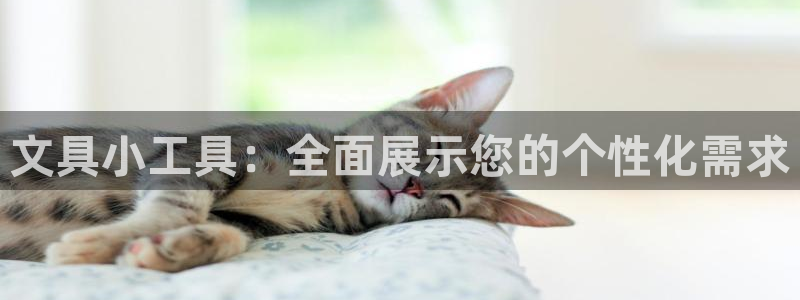 卧龙娱乐开户：文具小工具：全面展示您的个