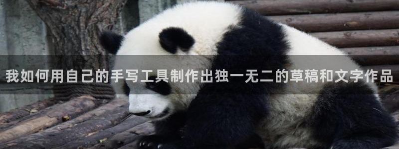 星酱娱乐卧龙：我如何用自己的手写工具制作