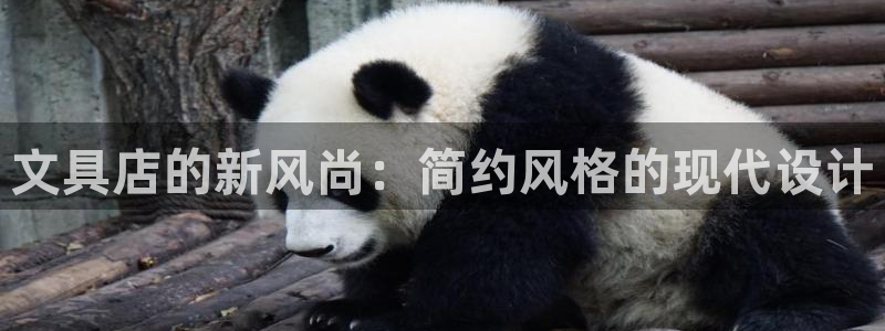 卧龙娱乐彩票中奖了吗：文具店的新风尚：简