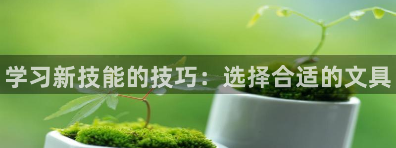 卧龙娱乐气垫项目投资：学习新技能的技巧：