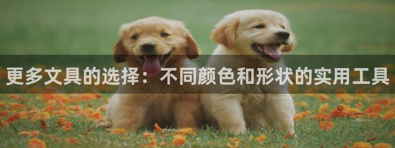卧龙娱乐若七九九：更多文具的选择：不同颜