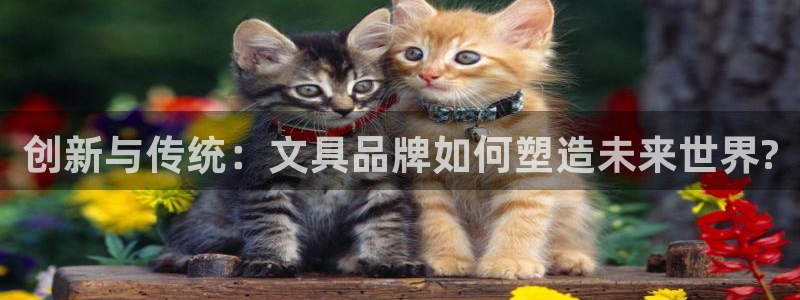 娱乐卧龙：创新与传统：文具品牌如何塑造未