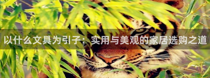 卧龙天尊国际娱乐会所：以什么文具为引子：