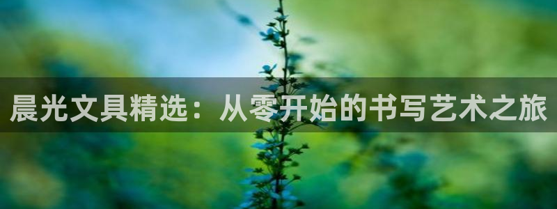 卧龙娱乐登录地址在哪：晨光文具精选：从零