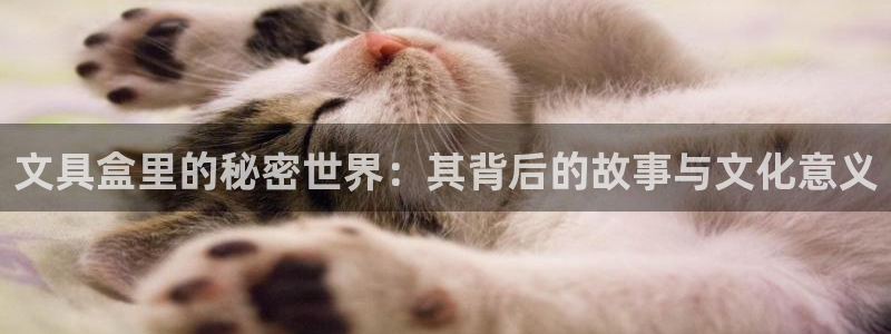 卧龙环岛儿童娱乐