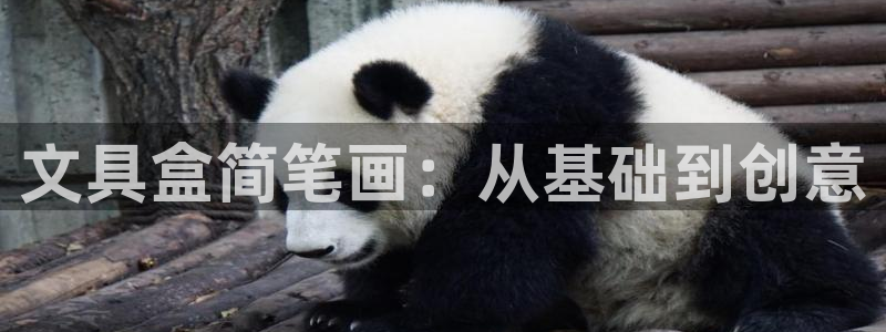 卧龙娱乐怎样注册公司：文具盒简笔画：从基