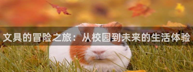 卧龙娱乐靠谱吗