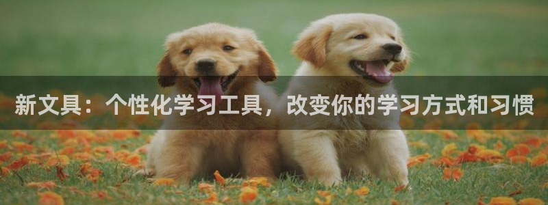 星鸿娱乐 0 47卧龙：新文具：个性化学