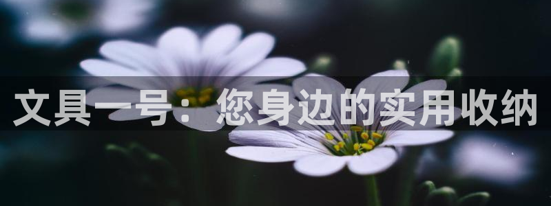 卧龙娱乐app彩票中奖：文具一号：您身边
