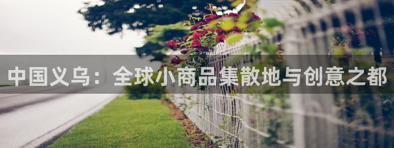 卧龙休闲娱乐热门推荐：中国义乌：全球小商