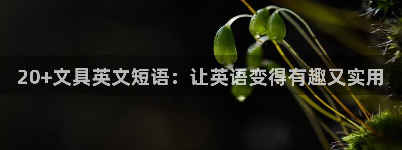 卧龙凤锄娱乐直播：20+文具英文短语：让