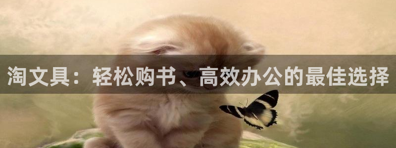 卧龙娱乐注册开户地址：淘文具：轻松购书、