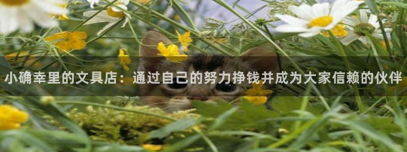 卧龙娱乐集团投注：小确幸里的文具店：通过