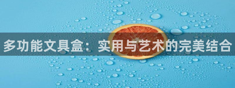 卧龙娱乐APP：多功能文具盒：实用与艺术
