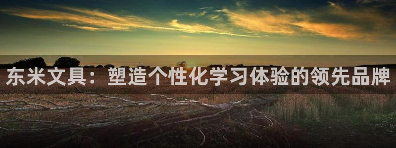 卧龙娱乐app彩票：东米文具：塑造个性化